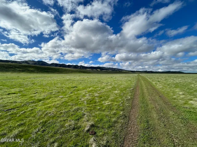 a view of an ocean from a yard