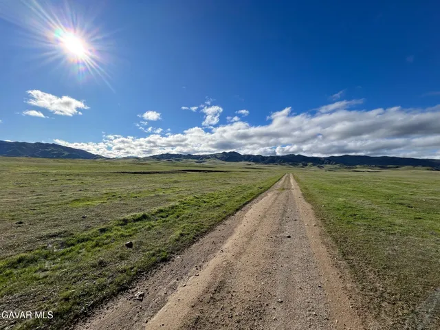 a view of an ocean from a yard