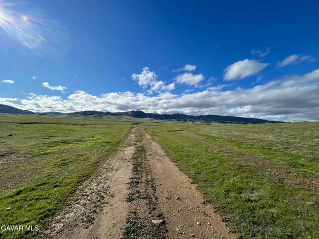 a view of a field with an ocean