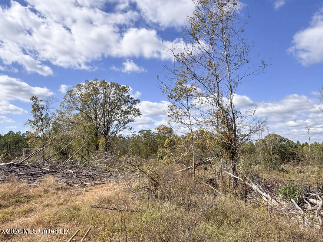 154 County Road Tillatoba, MS 38961 - Photo 44 of 58 4kgrdnyba11-orig_orig