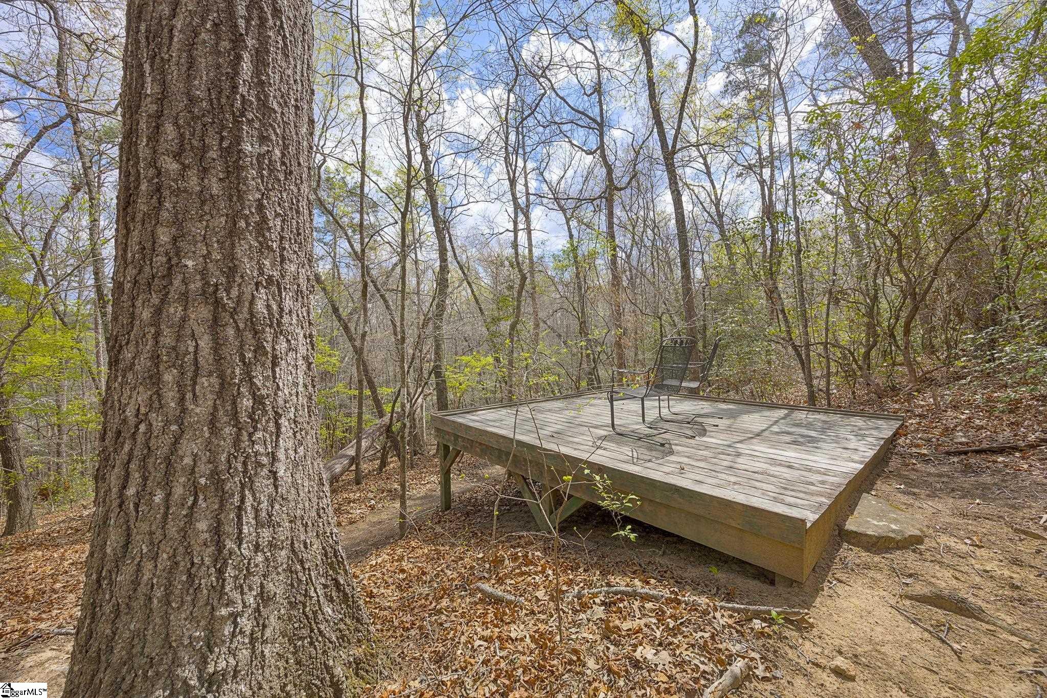 4828 Highway 11 Pickens, SC 29671 - Photo 33 of 43