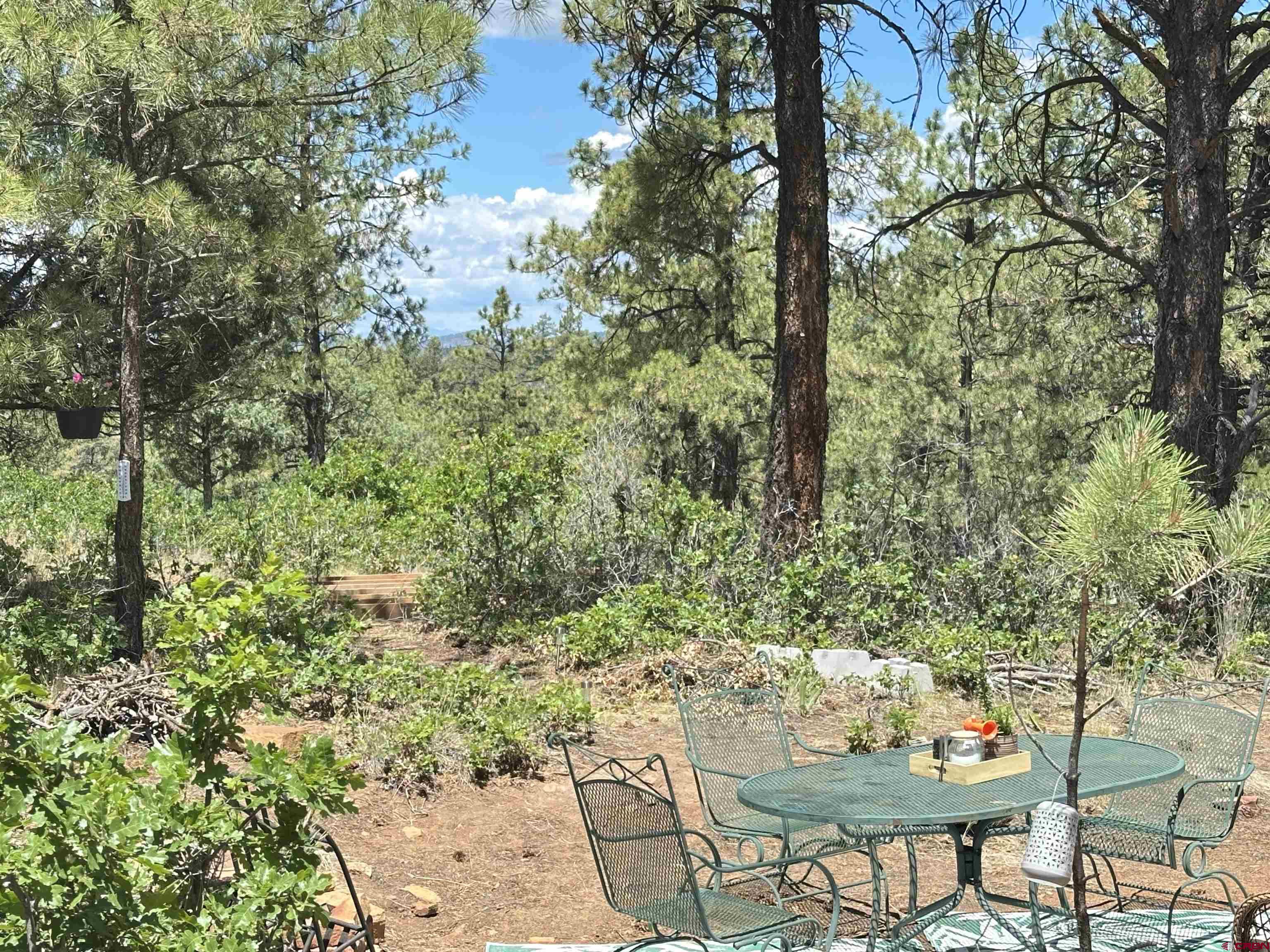 121 Engineer Point Pagosa Springs, CO 81147 - Photo 15 of 43