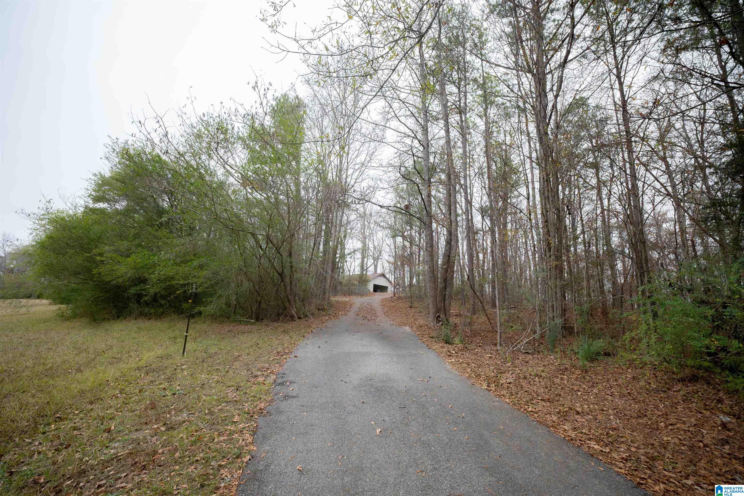 4379 Wellington Road Jacksonville, AL 36265 - Photo 12 of 98 Gallery Image 12