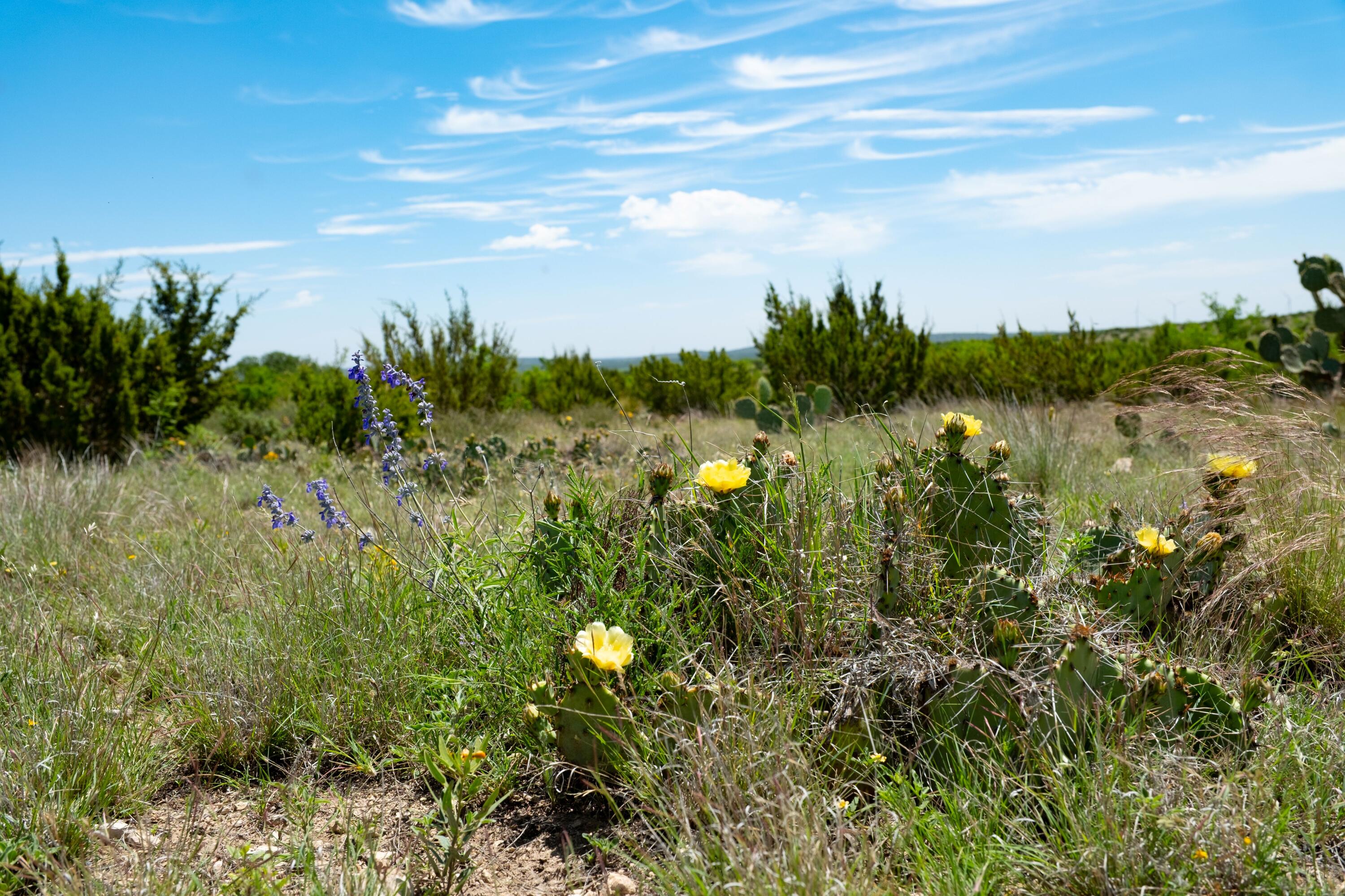 9534 Duff Road Christoval, TX 76935 - Photo 61 of 70 DSCF0732