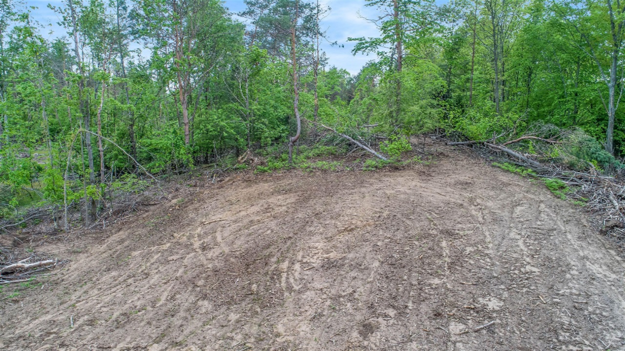 100 West Baseline Road Hart, MI 49420 - Photo 16 of 31