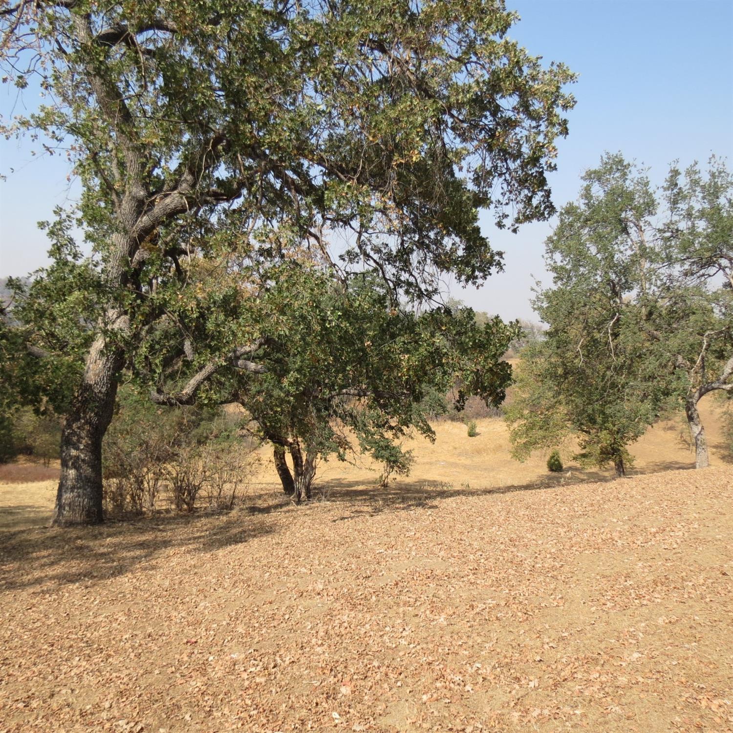 46996 Dunlap Road Miramonte, CA 93641 - Photo 42 of 54 Gallery Image 42