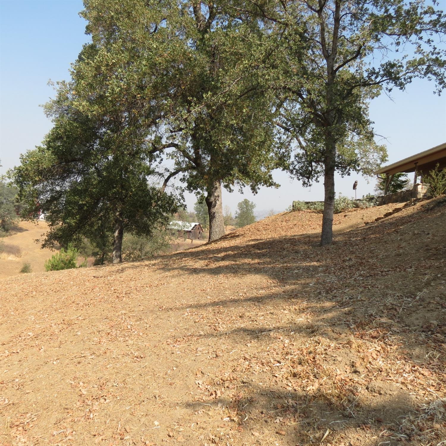 46996 Dunlap Road Miramonte, CA 93641 - Photo 44 of 54 Gallery Image 44