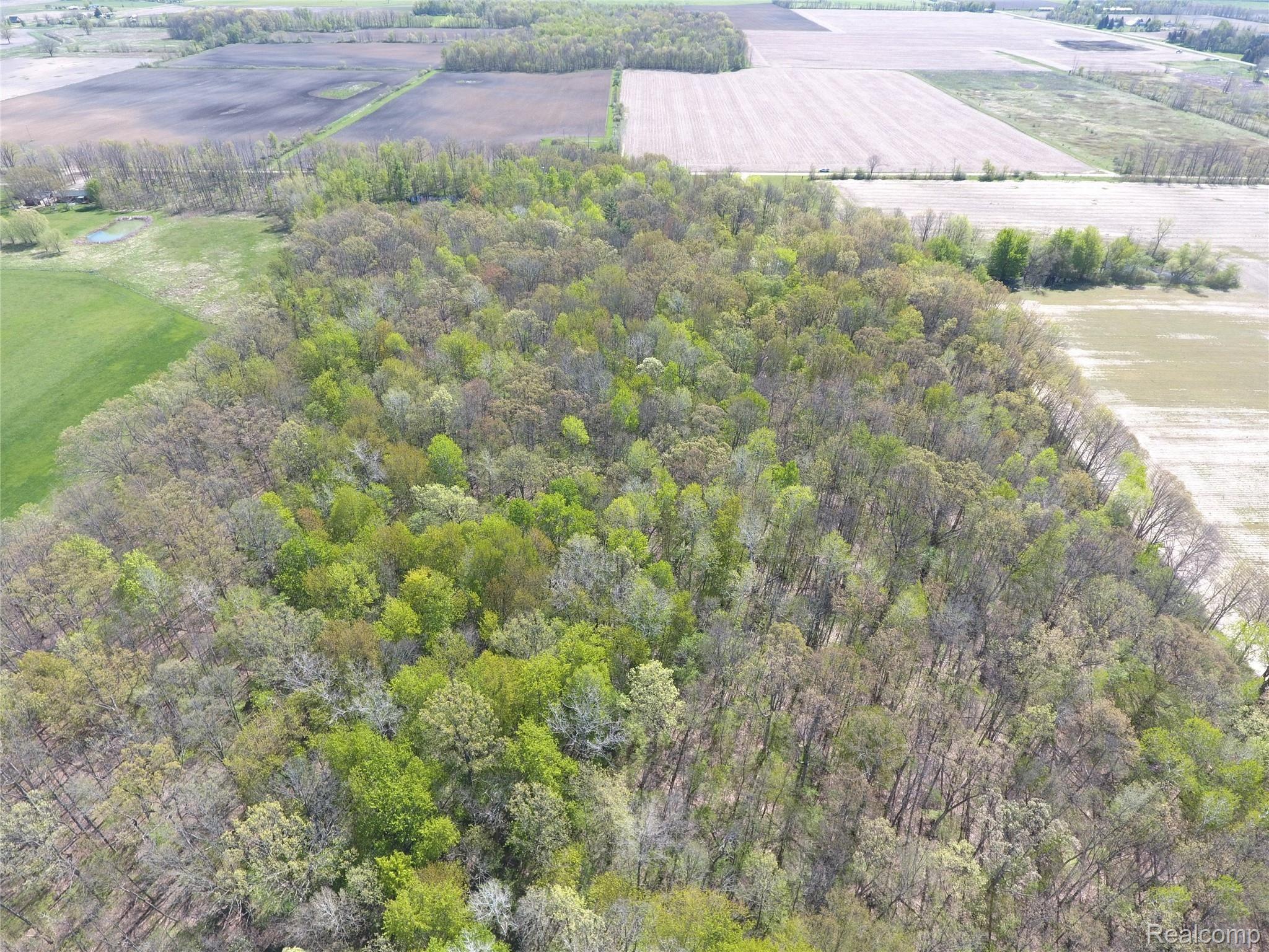 8193 Binden Road Silverwood, MI 48760 - Photo 38 of 38 DJI_0030.JPG