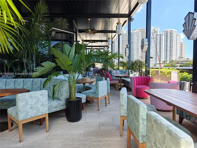 a close up of a potted plant