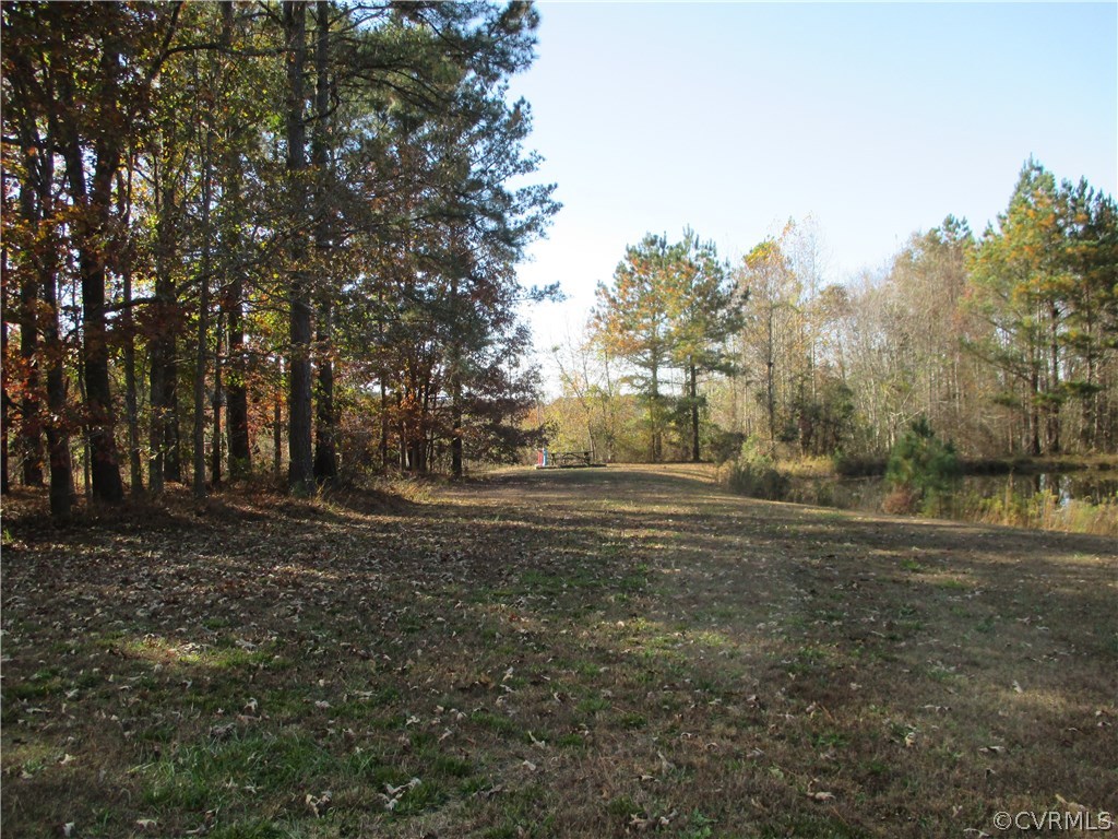 7247 South Hill Road Kenbridge, VA 23944 - Photo 13 of 46 Gallery Image 13