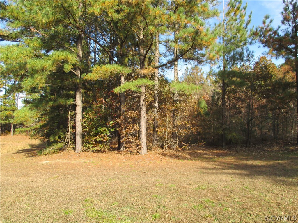 7247 South Hill Road Kenbridge, VA 23944 - Photo 15 of 46 Gallery Image 15