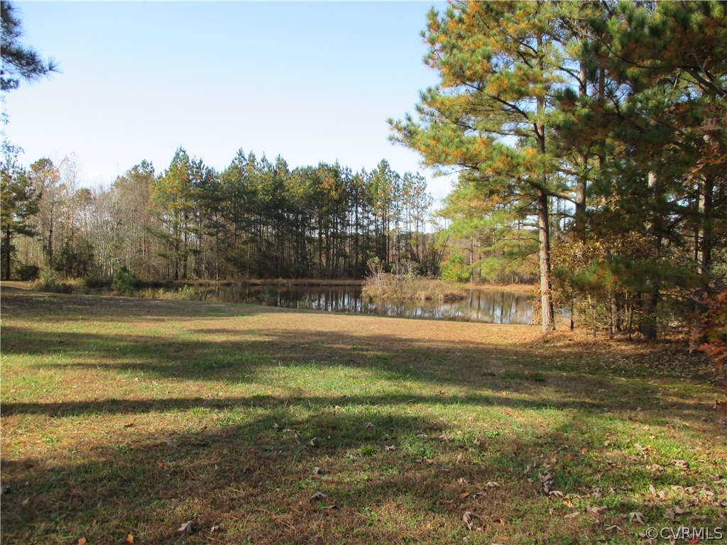 7247 South Hill Road Kenbridge, VA 23944 - Photo 10 of 46 Gallery Image 10