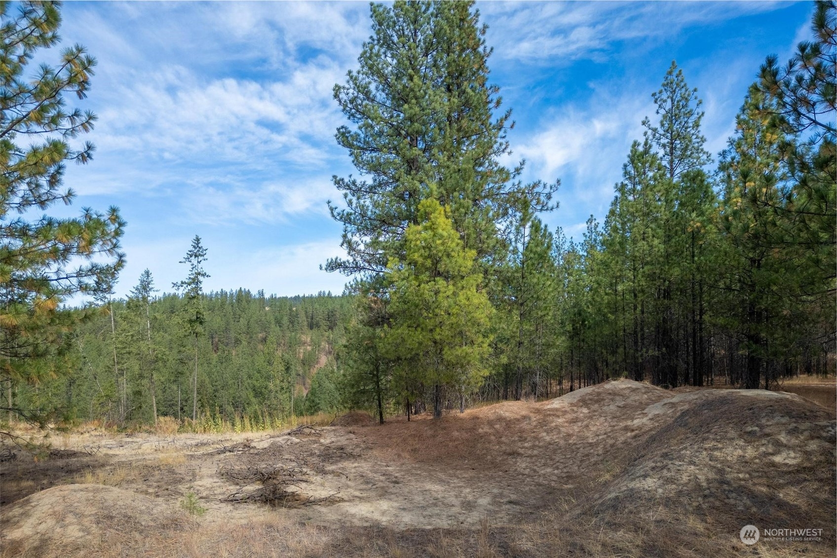 745 D Hall Road Colville, WA 99114 - Photo 11 of 27 a view of backyard with green space