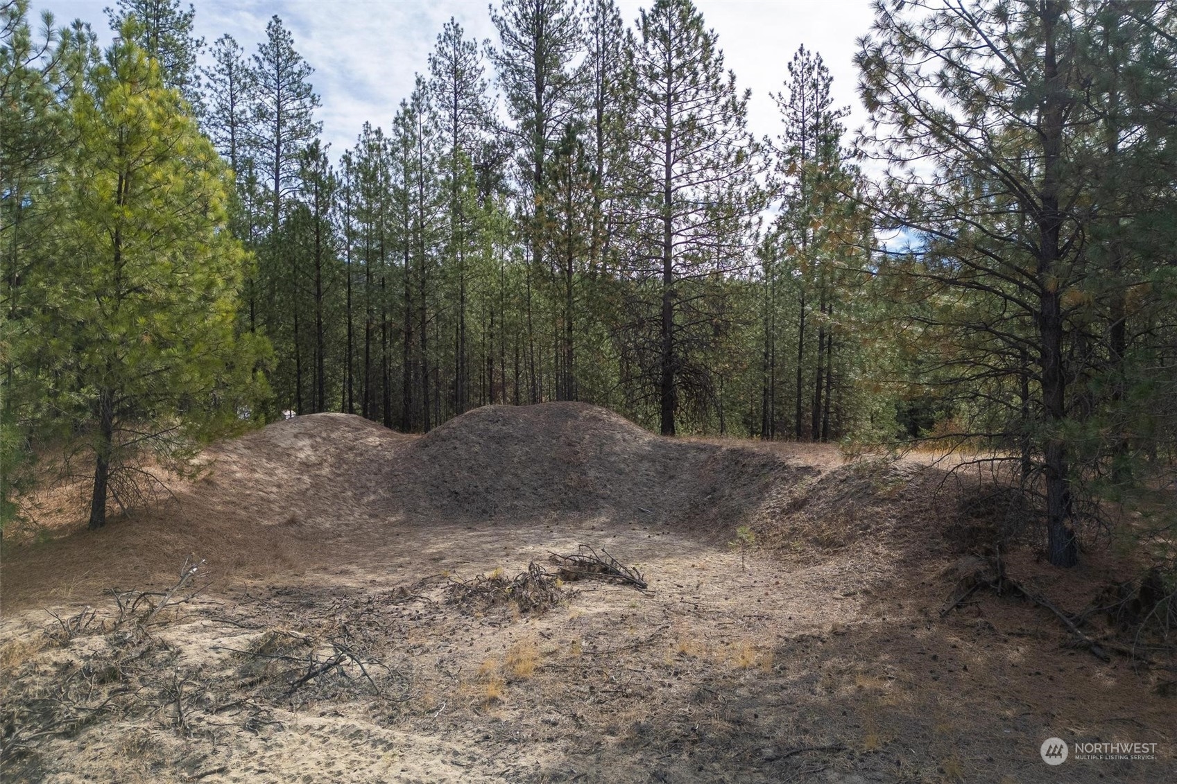 745 D Hall Road Colville, WA 99114 - Photo 12 of 27 a view of a covered with trees in the background