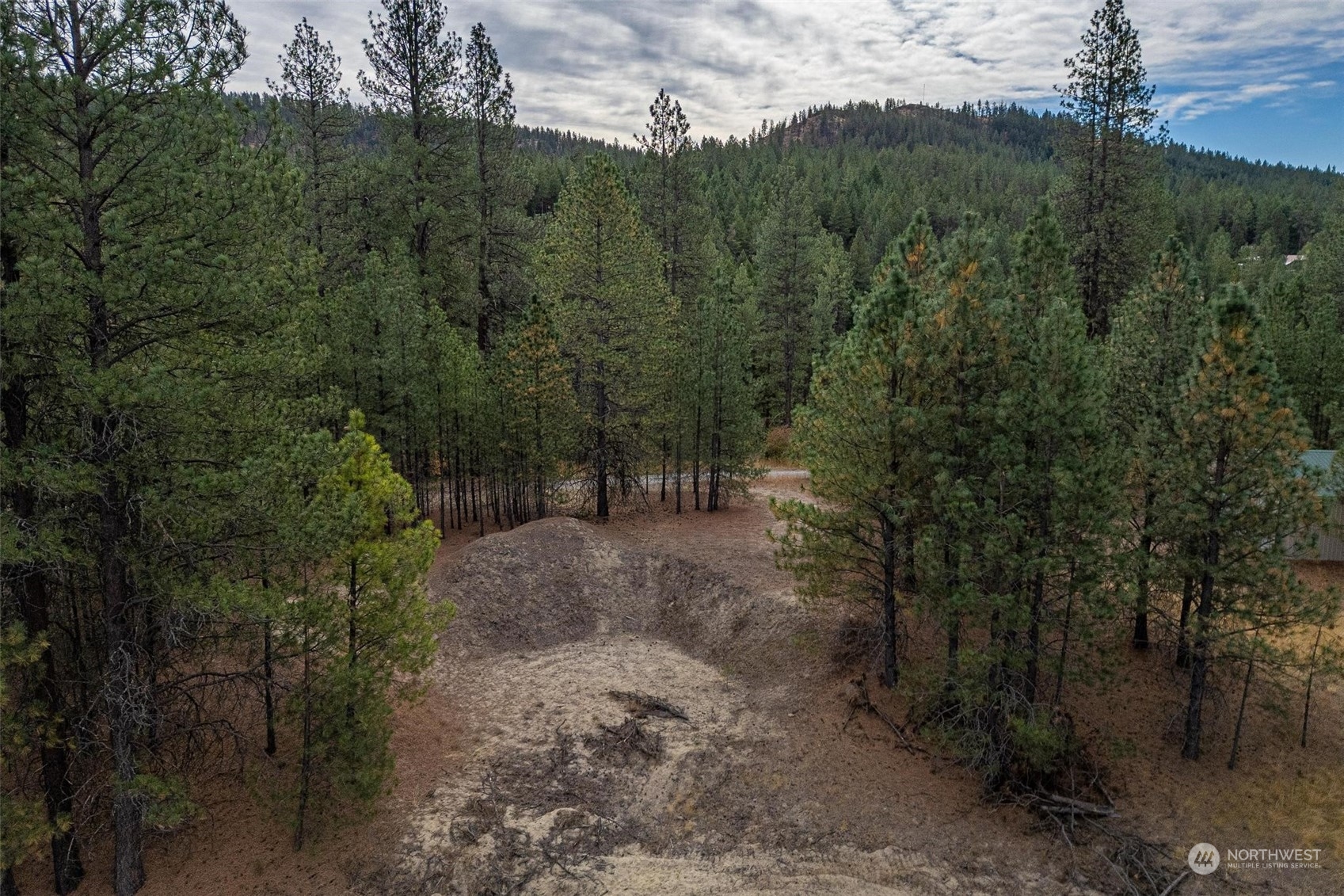 745 D Hall Road Colville, WA 99114 - Photo 13 of 27 a view of a forest with a tree