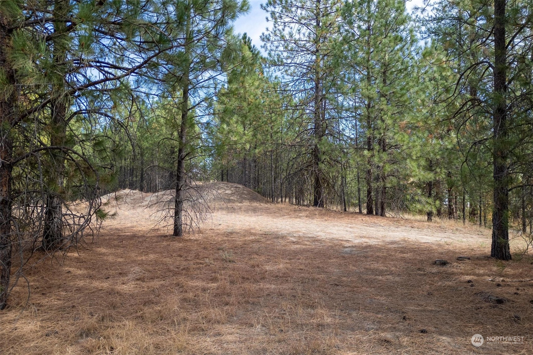 745 D Hall Road Colville, WA 99114 - Photo 6 of 27 a view of empty field with trees