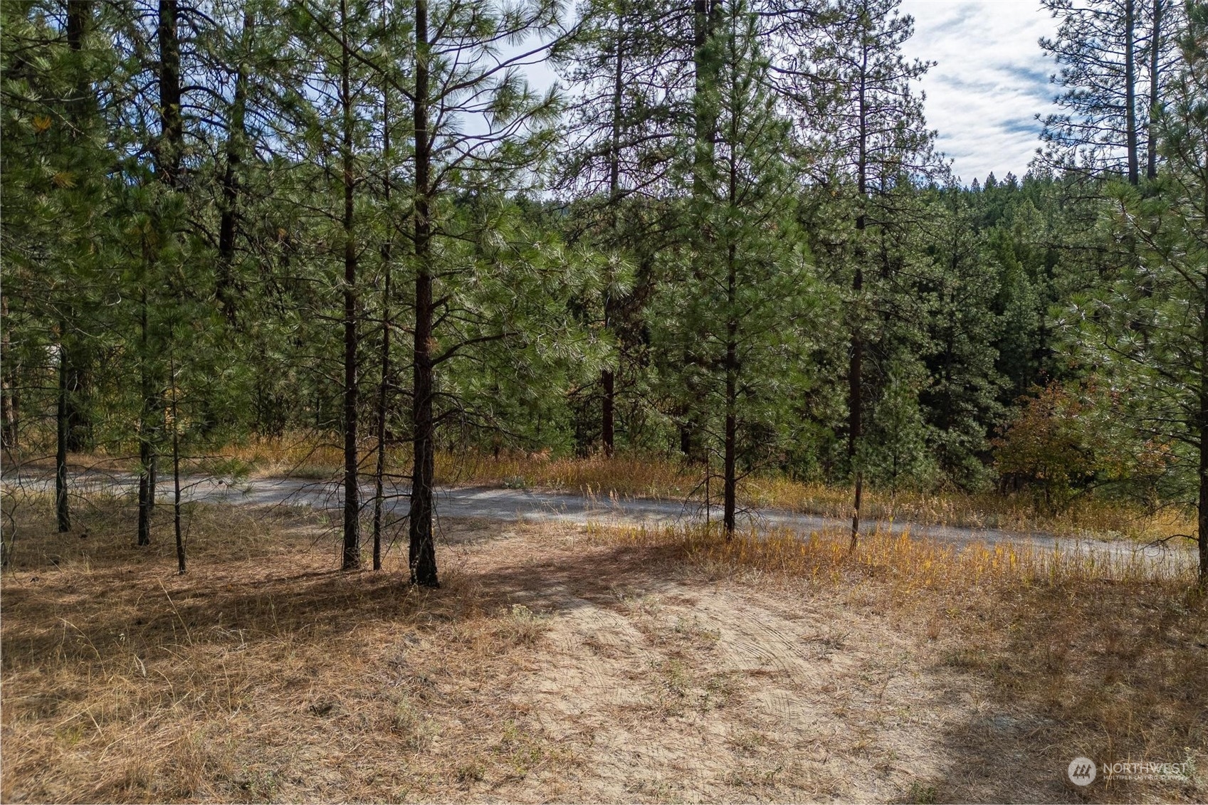 745 D Hall Road Colville, WA 99114 - Photo 10 of 27 a view of outdoor space with trees