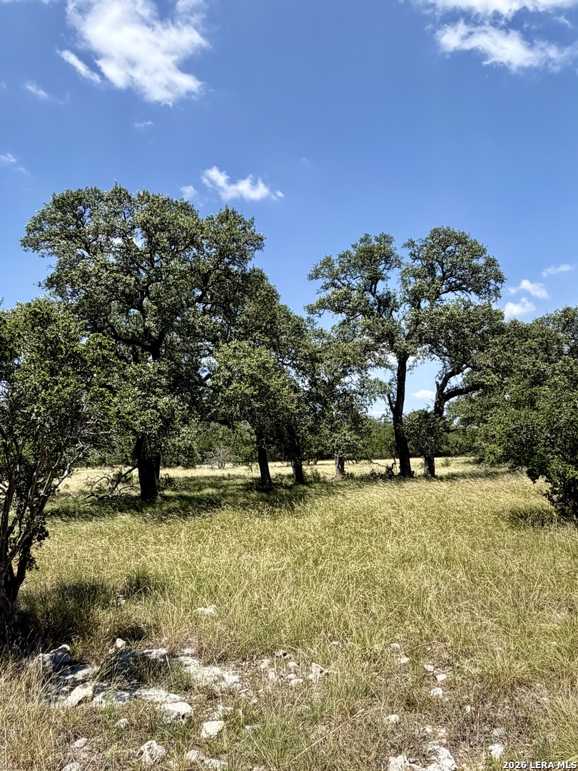 43-acres Sattler Road Spring Branch, TX 78070 - Photo 27 of 42 Gallery Image 27