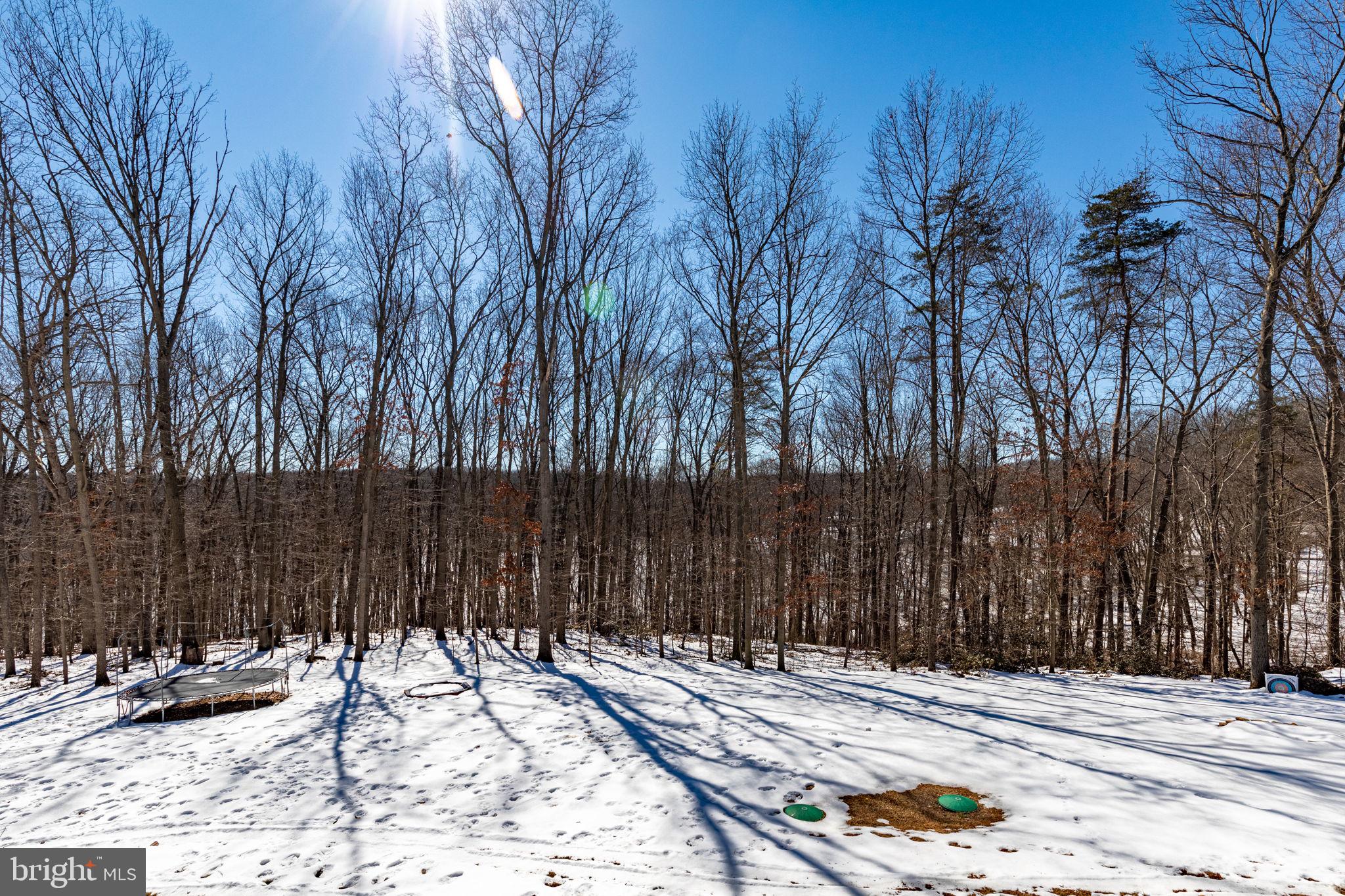 4759 Carea Road White Hall, MD 21161 - Photo 38 of 40 Open backyard leads to wooded portion