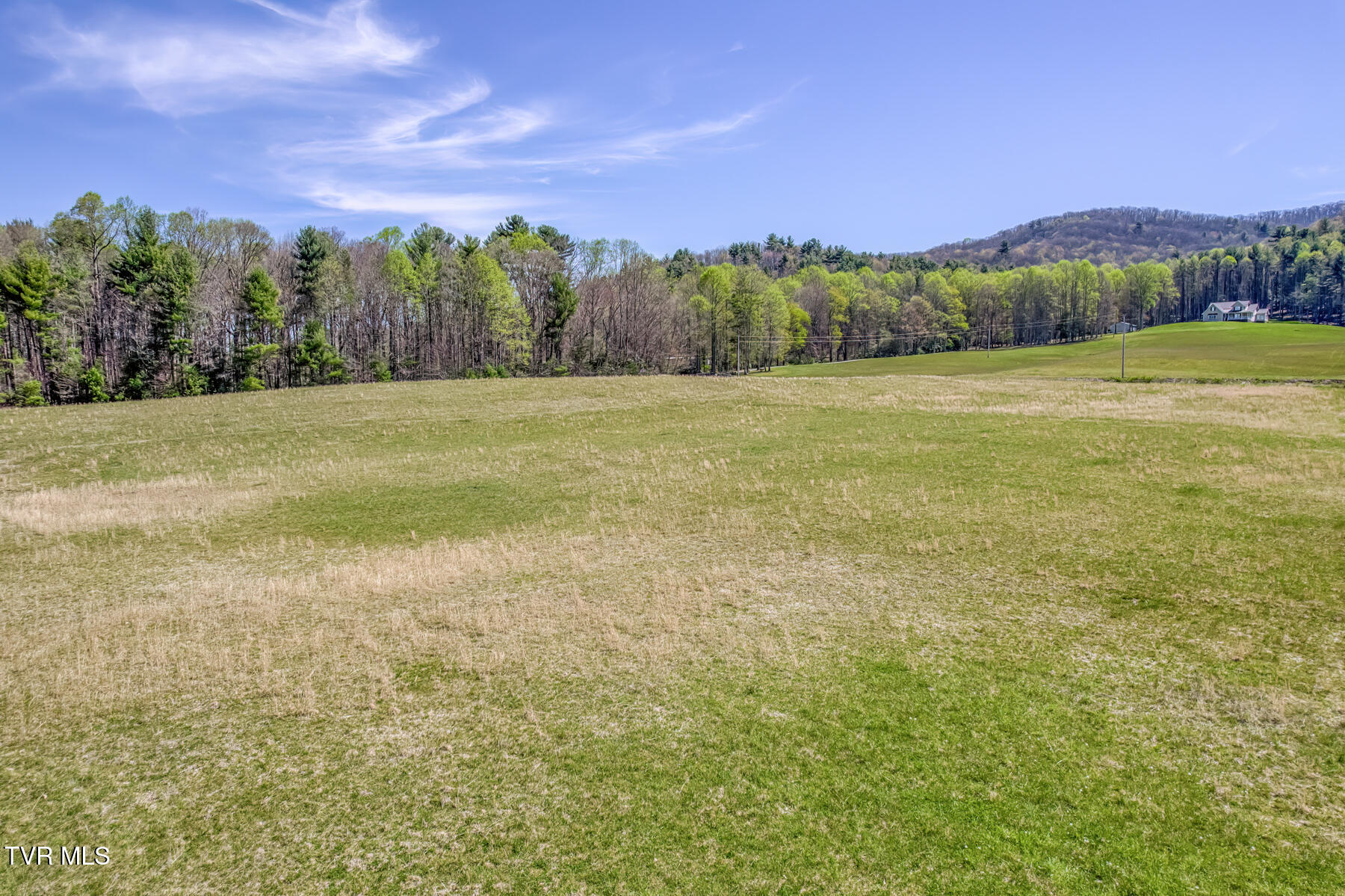 1650 Sluder Road Shady Valley, TN 37688 - Photo 68 of 76 1650 Sluder Rd-91