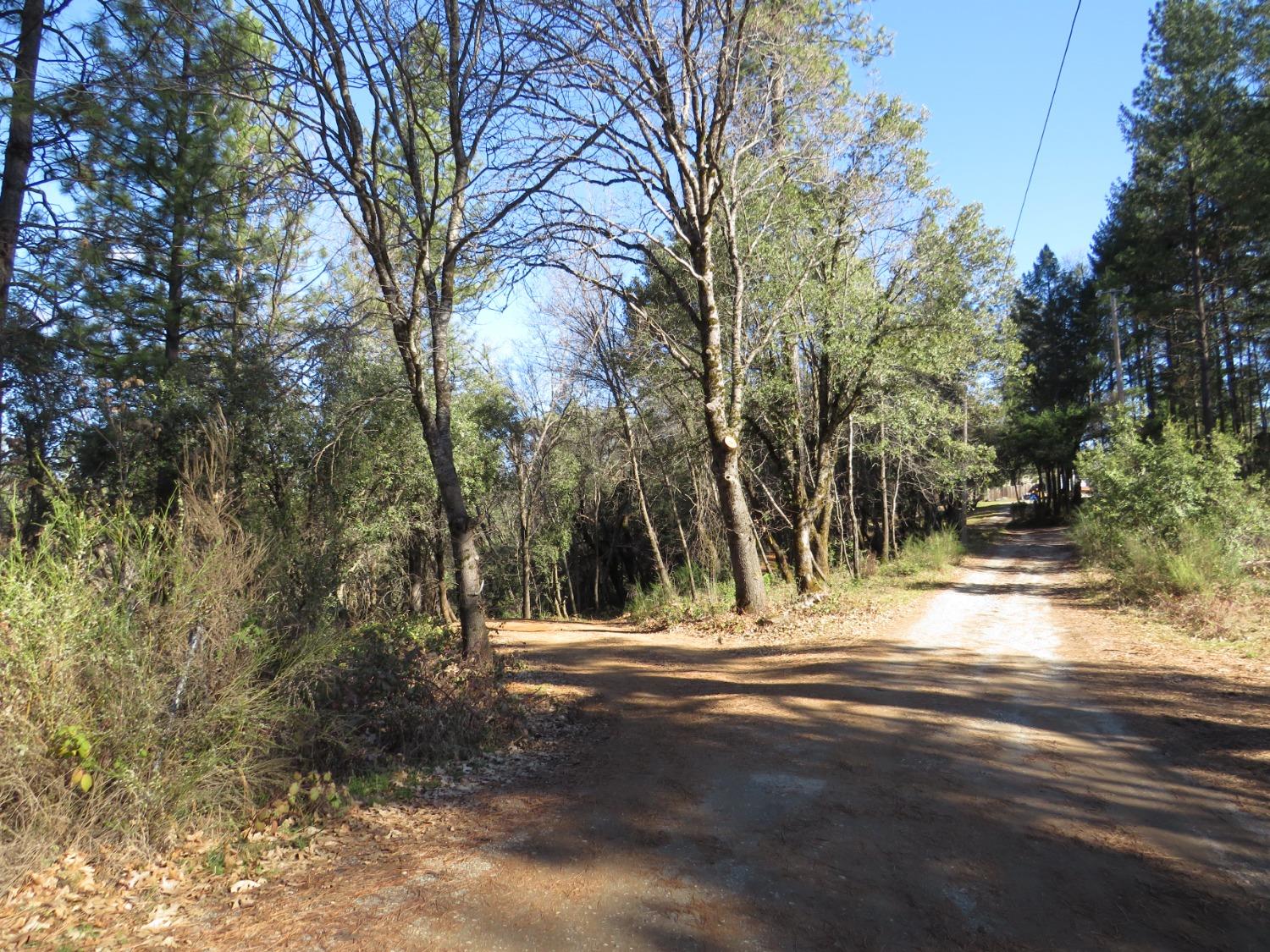 0 North Canyon Way Colfax, CA 95713 - Photo 11 of 51 a view of road with trees