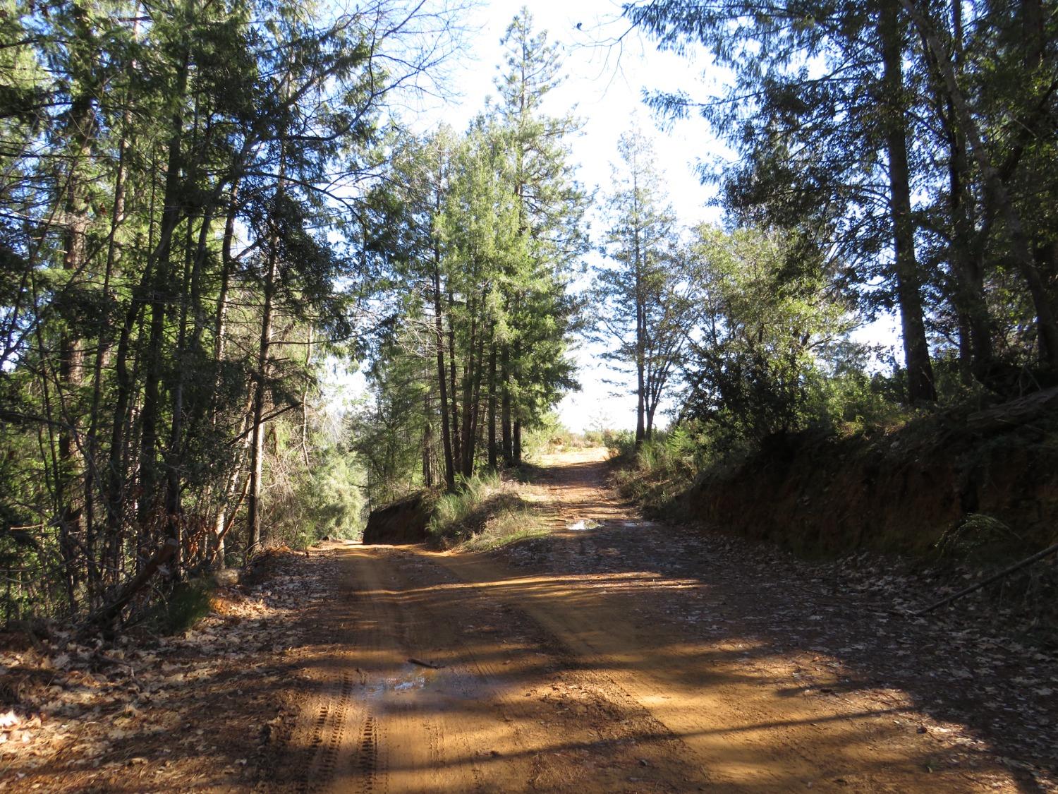 0 North Canyon Way Colfax, CA 95713 - Photo 14 of 51 a view of road with trees