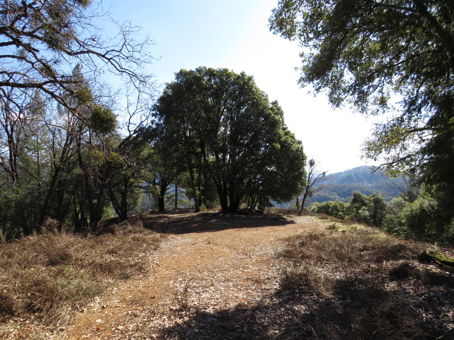 0 North Canyon Way Colfax, CA 95713 - Photo 17 of 51 a view of outdoor space with trees