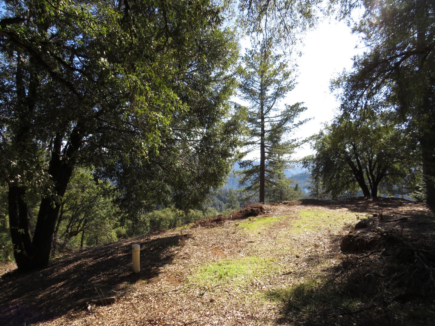 0 North Canyon Way Colfax, CA 95713 - Photo 19 of 51 a view of a yard with trees