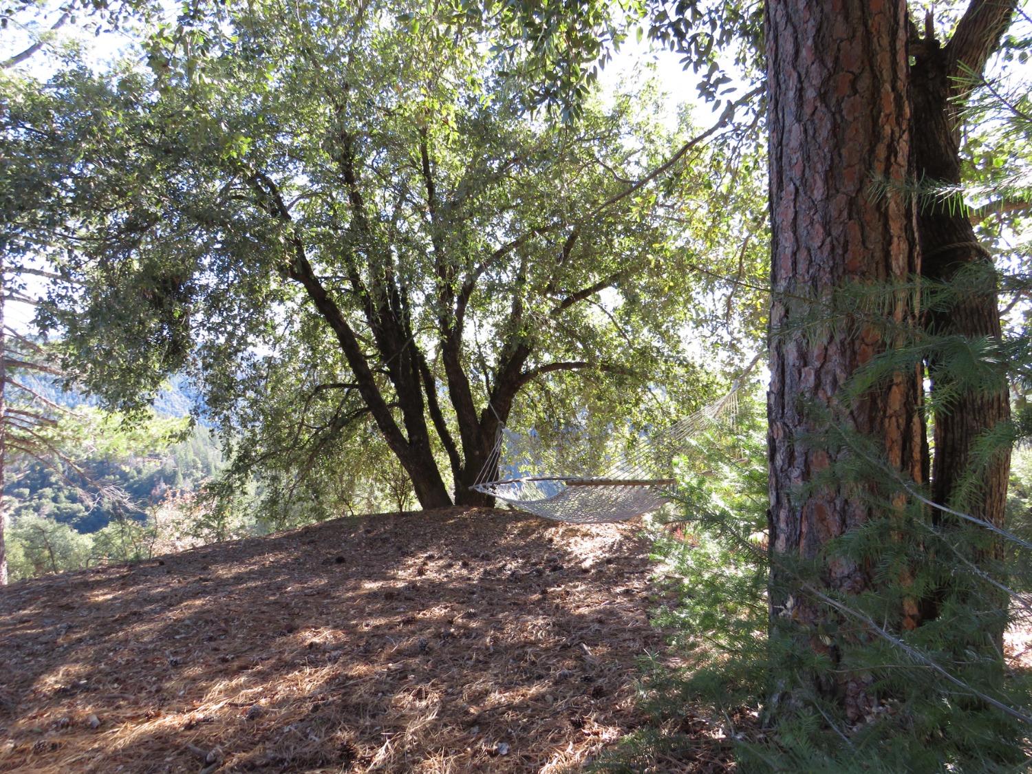 0 North Canyon Way Colfax, CA 95713 - Photo 20 of 51 a view of outdoor space and trees