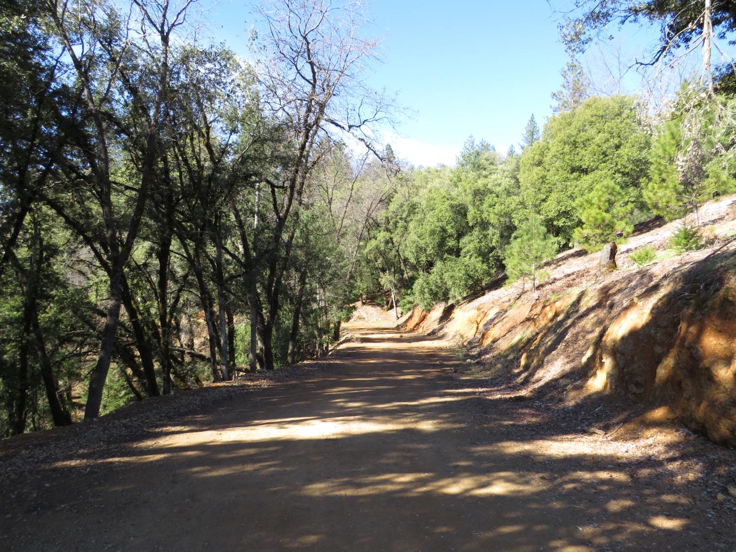 0 North Canyon Way Colfax, CA 95713 - Photo 21 of 51 a view of road and trees