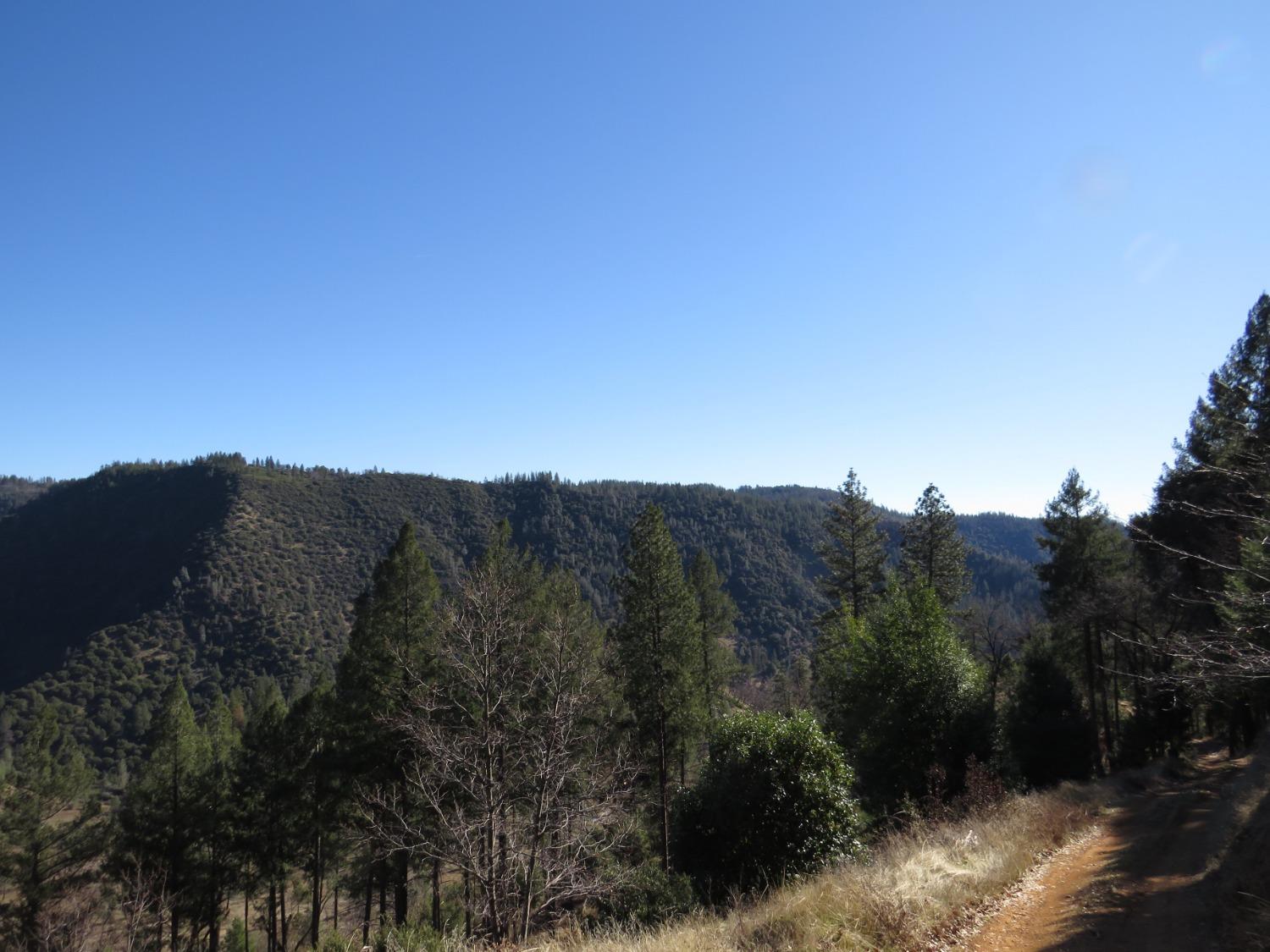 0 North Canyon Way Colfax, CA 95713 - Photo 25 of 51 a view of a top of a house with a mountain and a forest