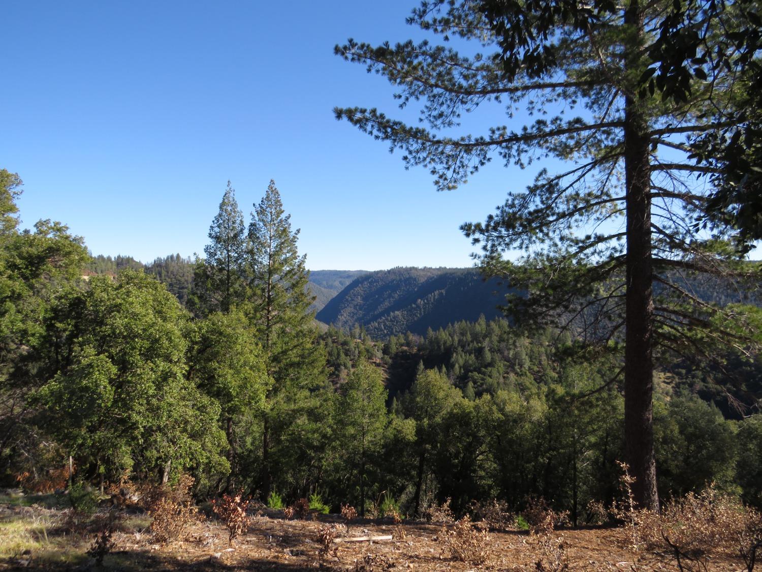 0 North Canyon Way Colfax, CA 95713 - Photo 28 of 51 a view of a forest with a mountain