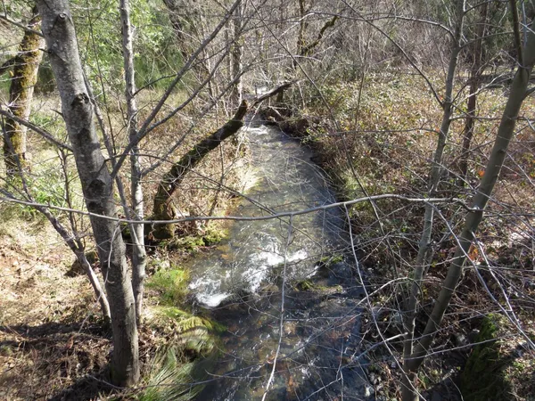 $650,000 | 0 North Canyon Way, Colfax, CA 95713