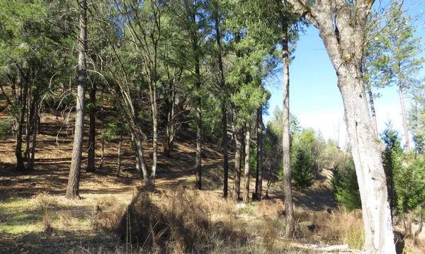 $650,000 | 0 North Canyon Way, Colfax, CA 95713