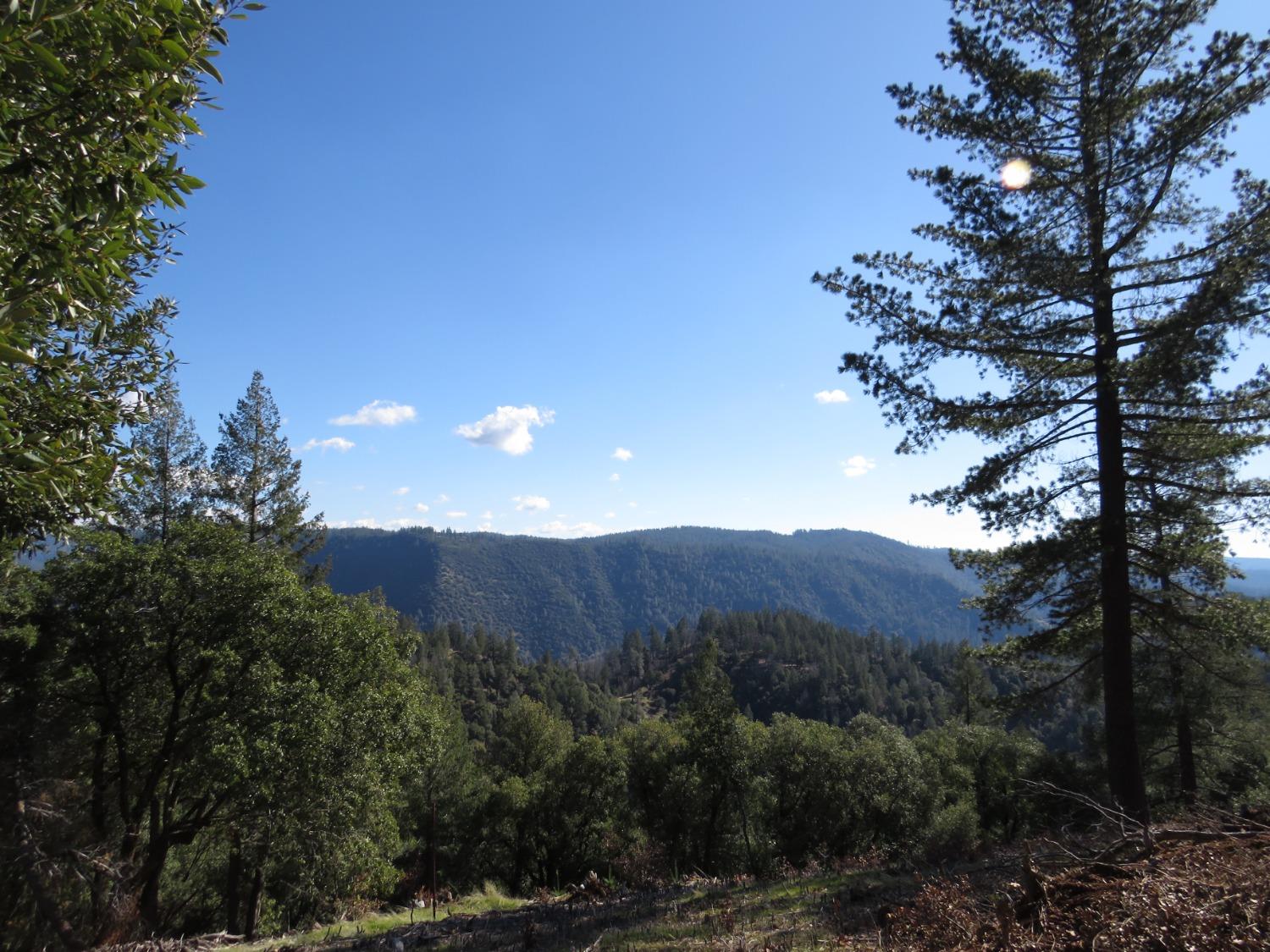 0 North Canyon Way Colfax, CA 95713 - Photo 41 of 51 a view of mountain and tree