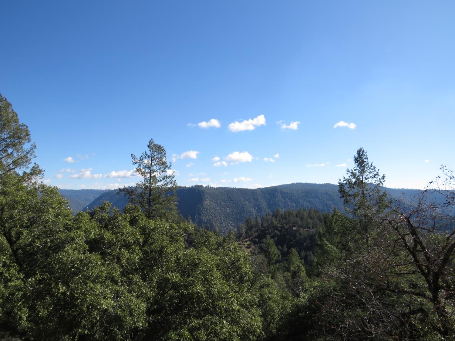 0 North Canyon Way Colfax, CA 95713 - Photo 42 of 51 a view of a house in a big yard with plants and large trees