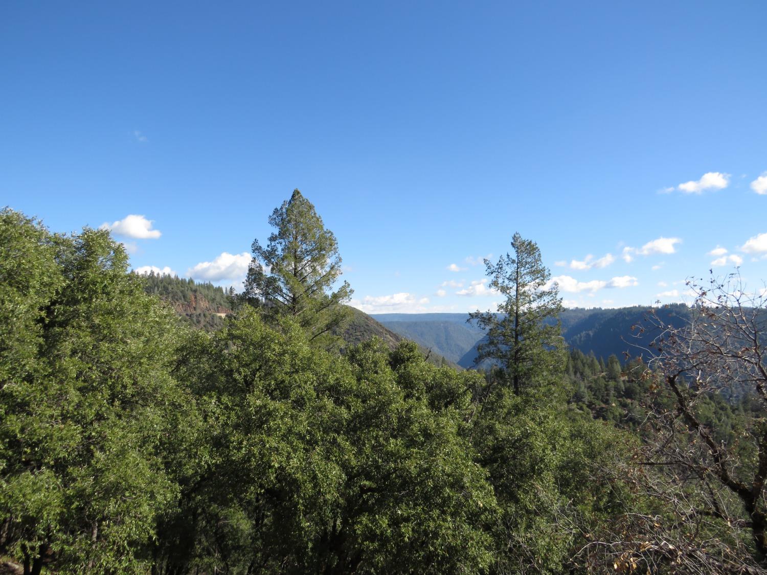 0 North Canyon Way Colfax, CA 95713 - Photo 43 of 51 a view of a plant in a field