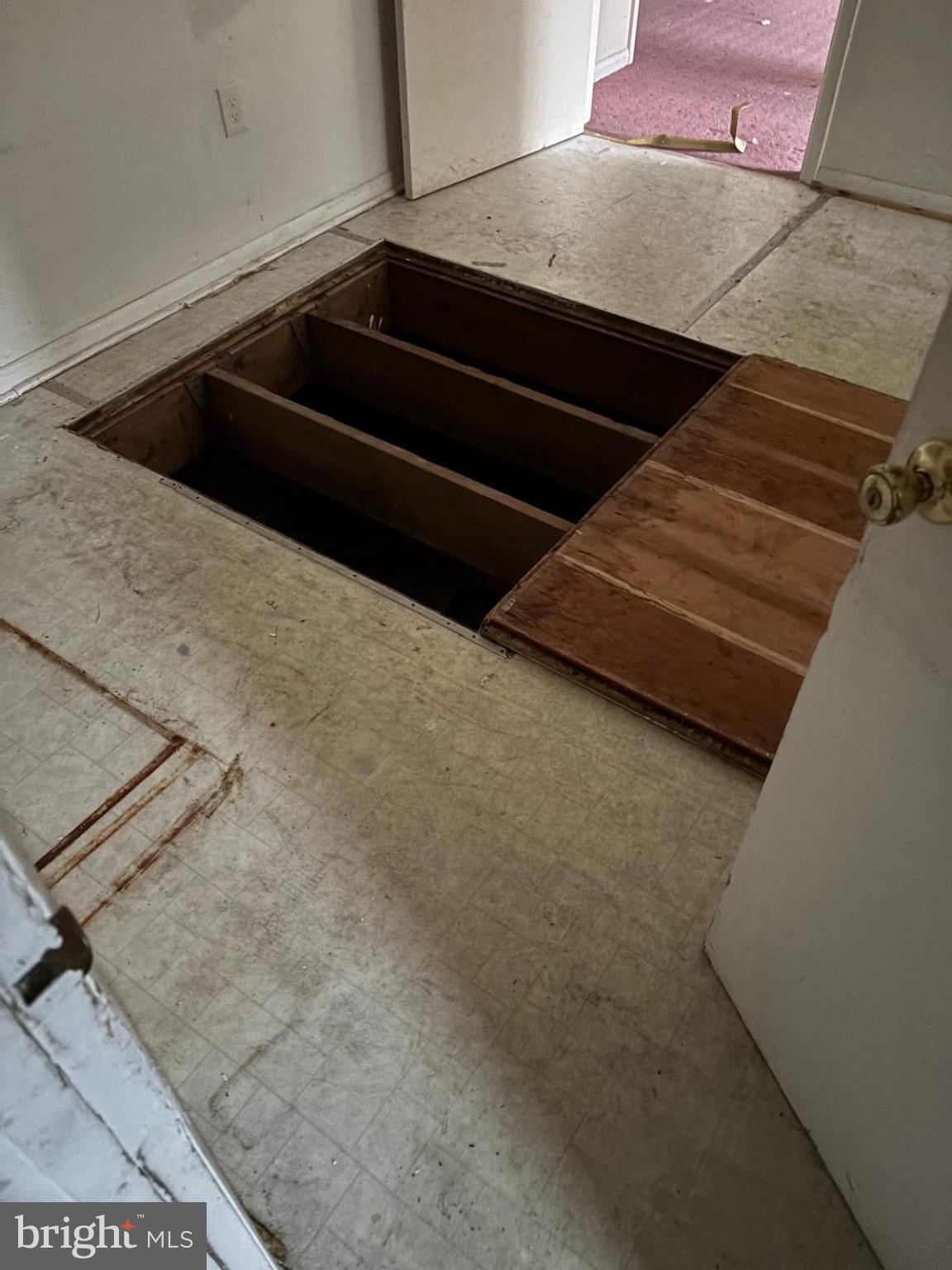 869 Beverly Road Burlington, NJ 08016 - Photo 9 of 10 Hidden access to a mysterious space below.