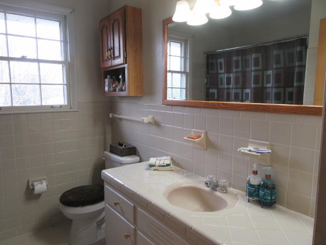 6210 Lakeview Road Springfield, TN 37172 - Photo 15 of 19 a bathroom with a toilet sink and mirror