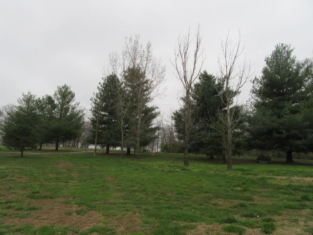 6210 Lakeview Road Springfield, TN 37172 - Photo 18 of 19 a view of park with trees