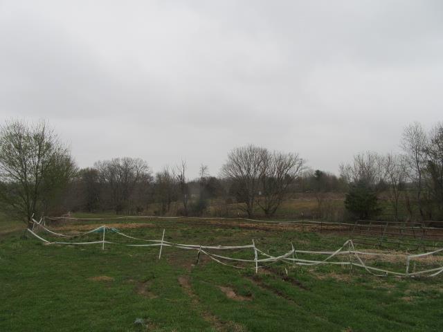 6210 Lakeview Road Springfield, TN 37172 - Photo 19 of 19 a view of a field with grass and trees