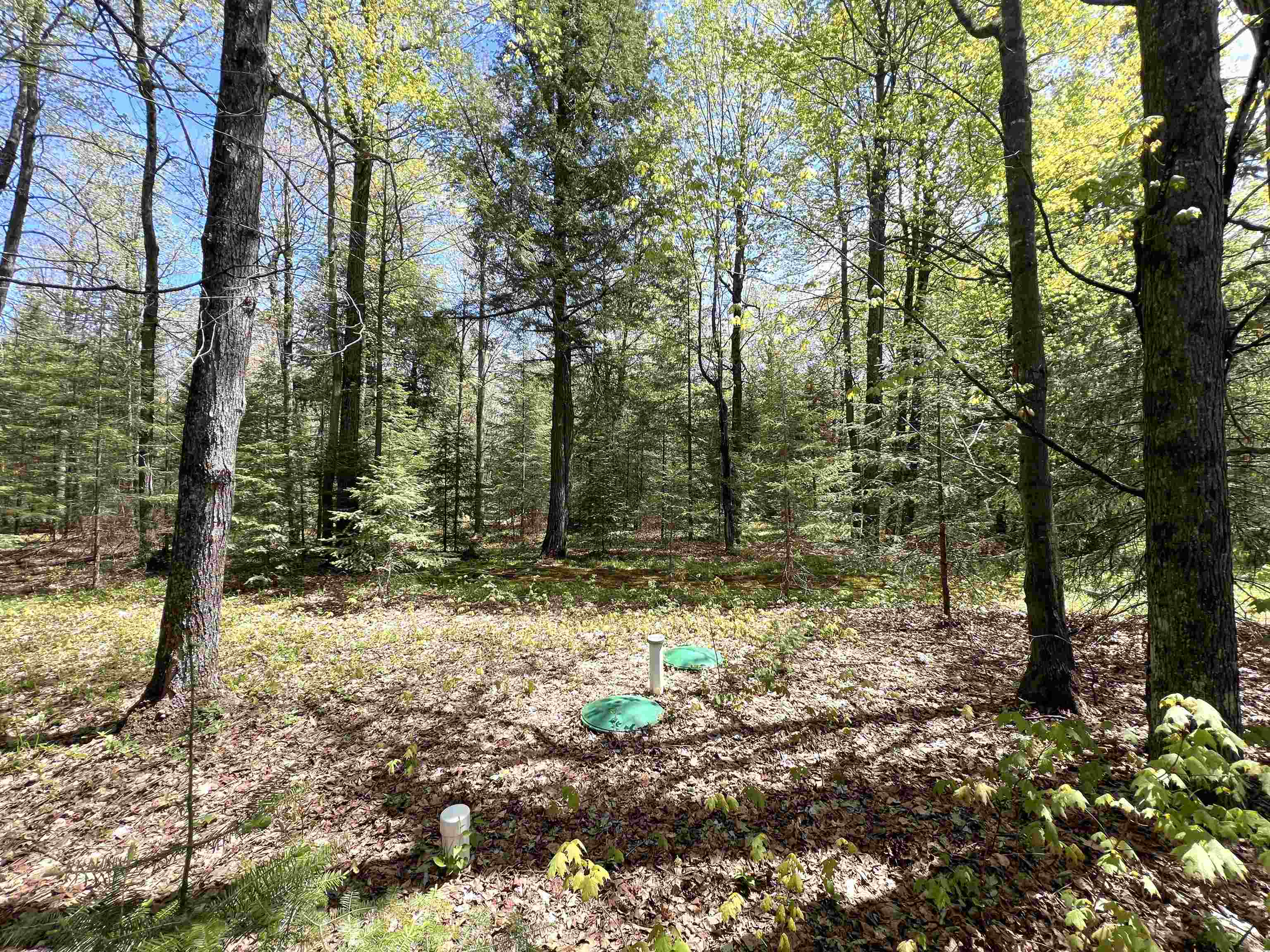 5675 Spider Lake Road Rhinelander, WI 54501 - Photo 58 of 68