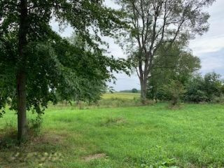 Parcel A Andres Road Belding, MI 48809 - Photo 1 of 10 IMG_2538