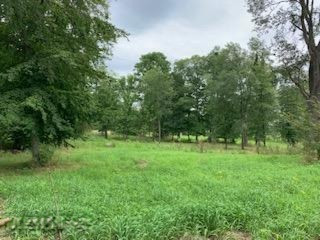 Parcel A Andres Road Belding, MI 48809 - Photo 2 of 10 IMG_2539
