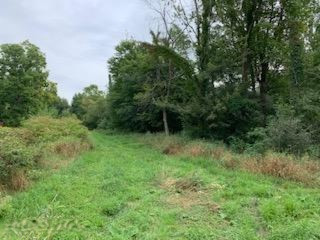 Parcel A Andres Road Belding, MI 48809 - Photo 3 of 10 IMG_2536
