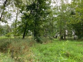 Parcel A Andres Road Belding, MI 48809 - Photo 10 of 10 IMG_2529