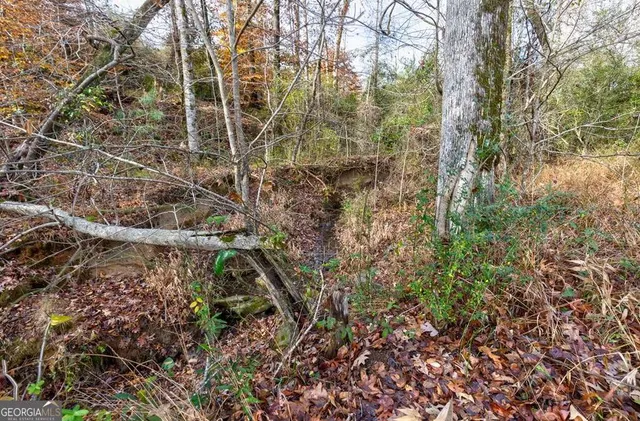 $550,000 | 13145 Ga Highway, Cataula, GA 31804