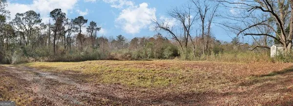 a view of a yard with trees