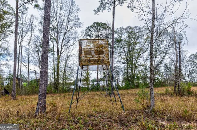 $550,000 | 13145 Ga Highway, Cataula, GA 31804