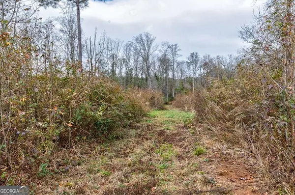 a view of a yard with trees in the background